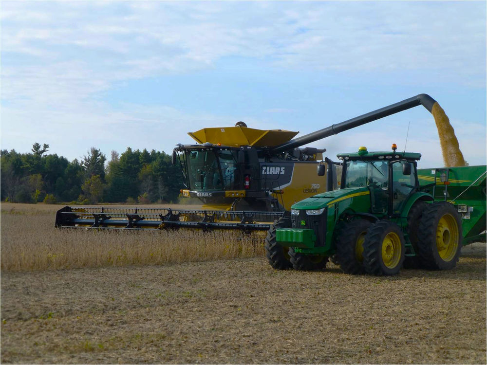 Farm - Cash Cropping