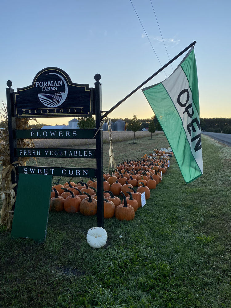 Roadside Market Stand
